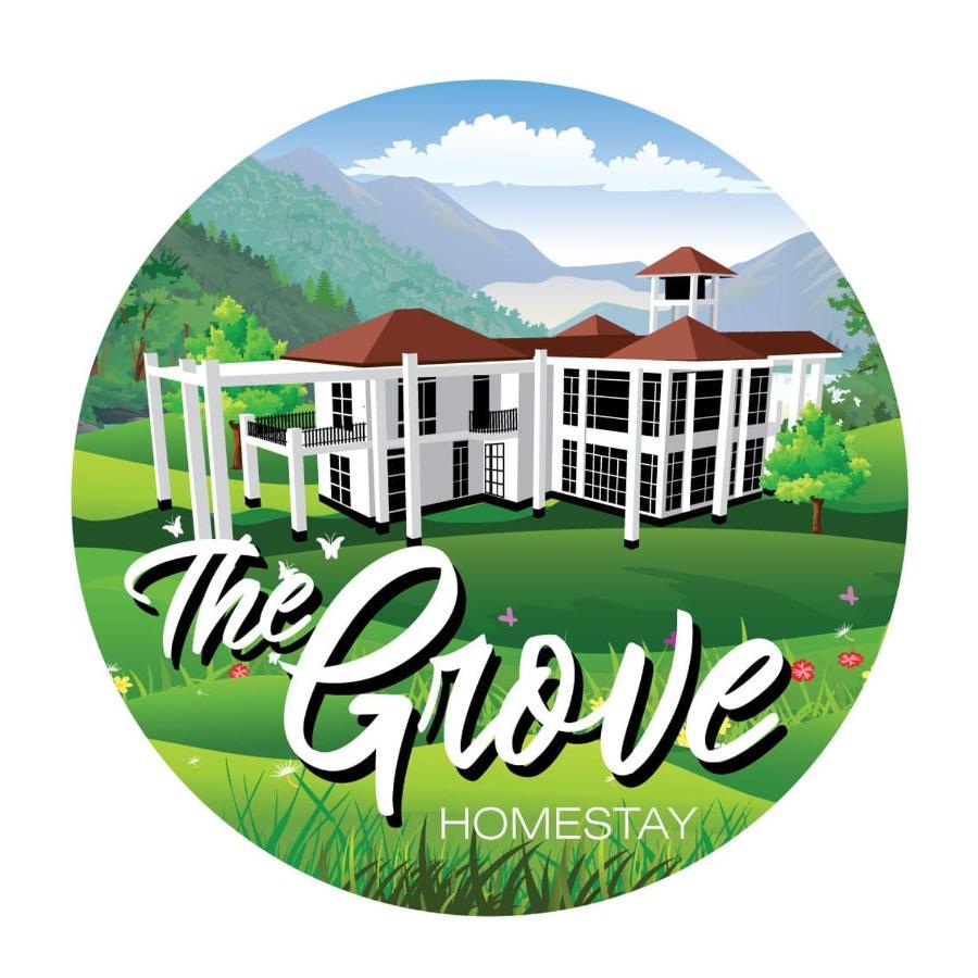 The Grove Séjour chez l'habitant *